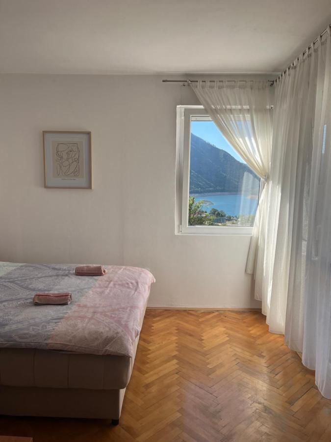 Cozy Apartment With The View Plužine Kültér fotó